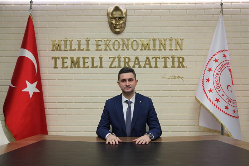 Bilir.JPG