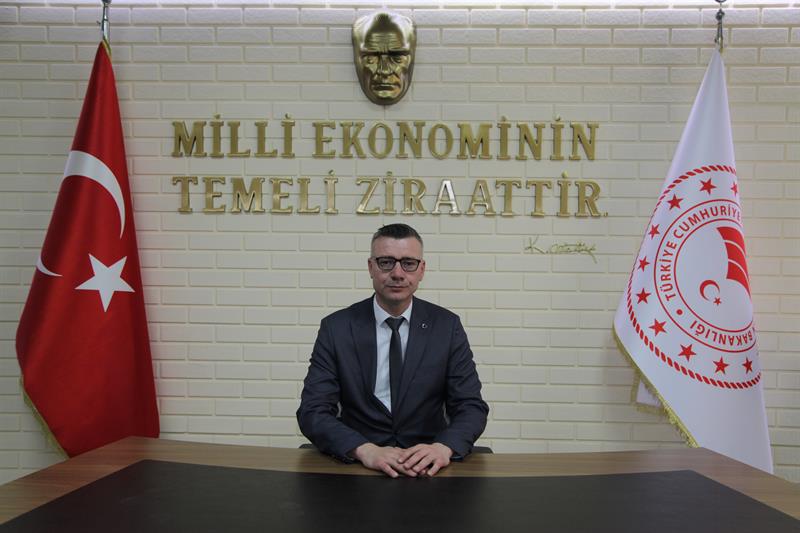 Yenice.JPG