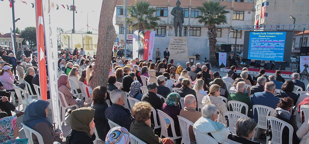 ECEABAT ZEYTİN VE ZEYTİNYAĞI COŞKULU FESTİVALLE TANITILDI