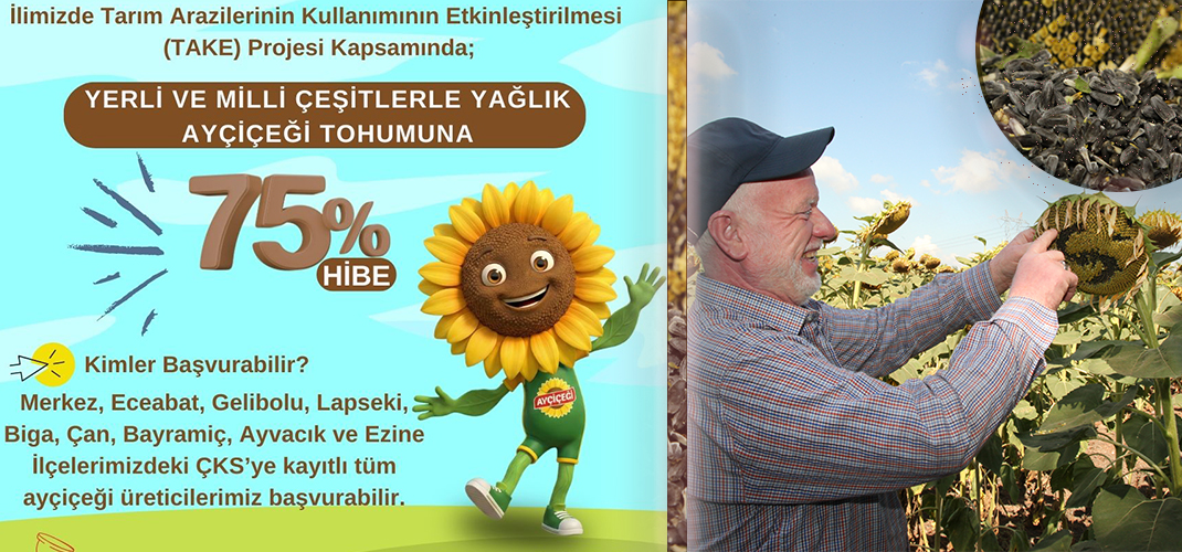 %75 HİBELİ AYÇİÇEĞİ TOHUMU BAŞVURULARI BAŞLADI